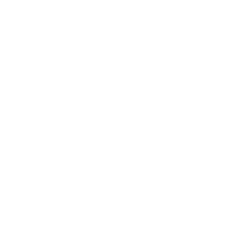 AfroSynthese
